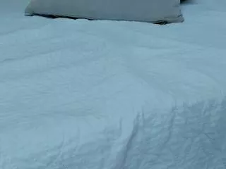 Freechat evangeline_miller on Flirt4Free