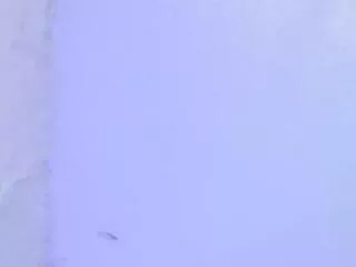 Freechat mia_sinner on Flirt4Free