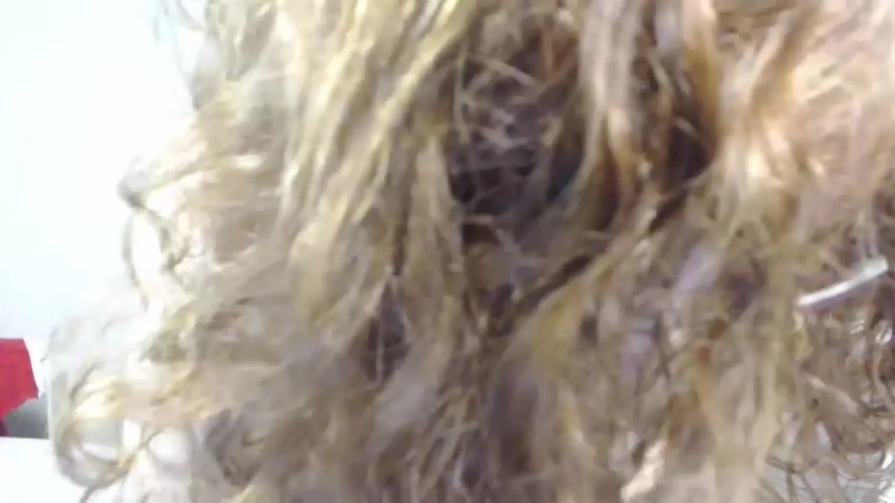 Offline AdeleeModel on Streamray