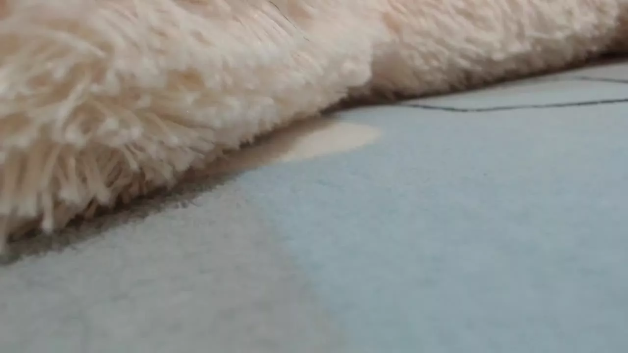 Offline Daphne0 on Streamray