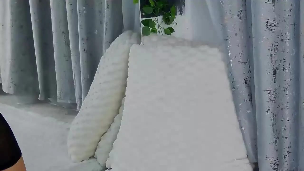 Offline IsabelleEthan on Streamray