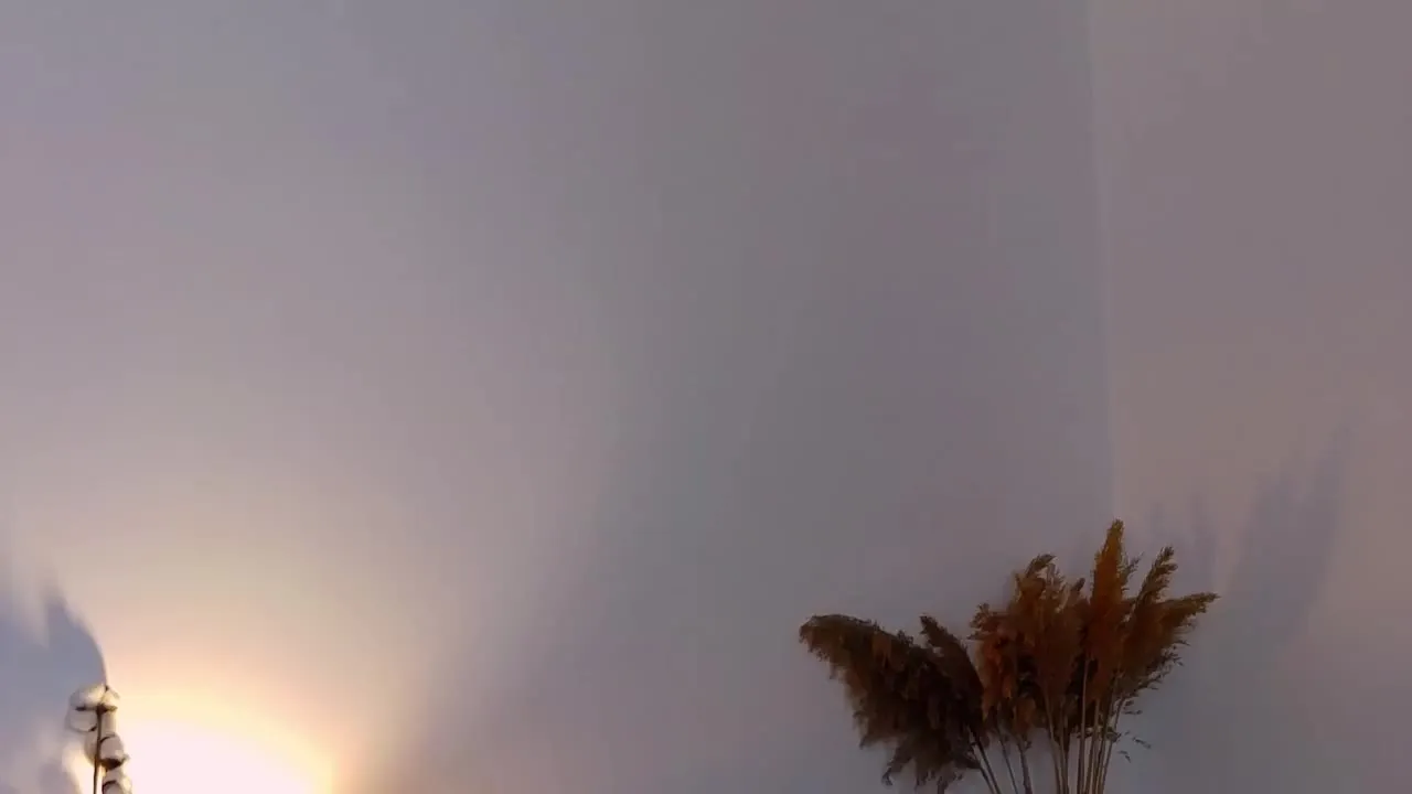 Offline JosephineJ on Streamray