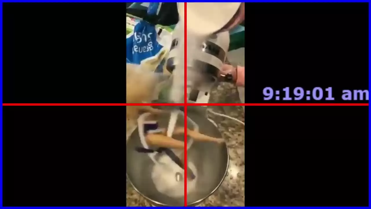 Offline sepffish on Streamray