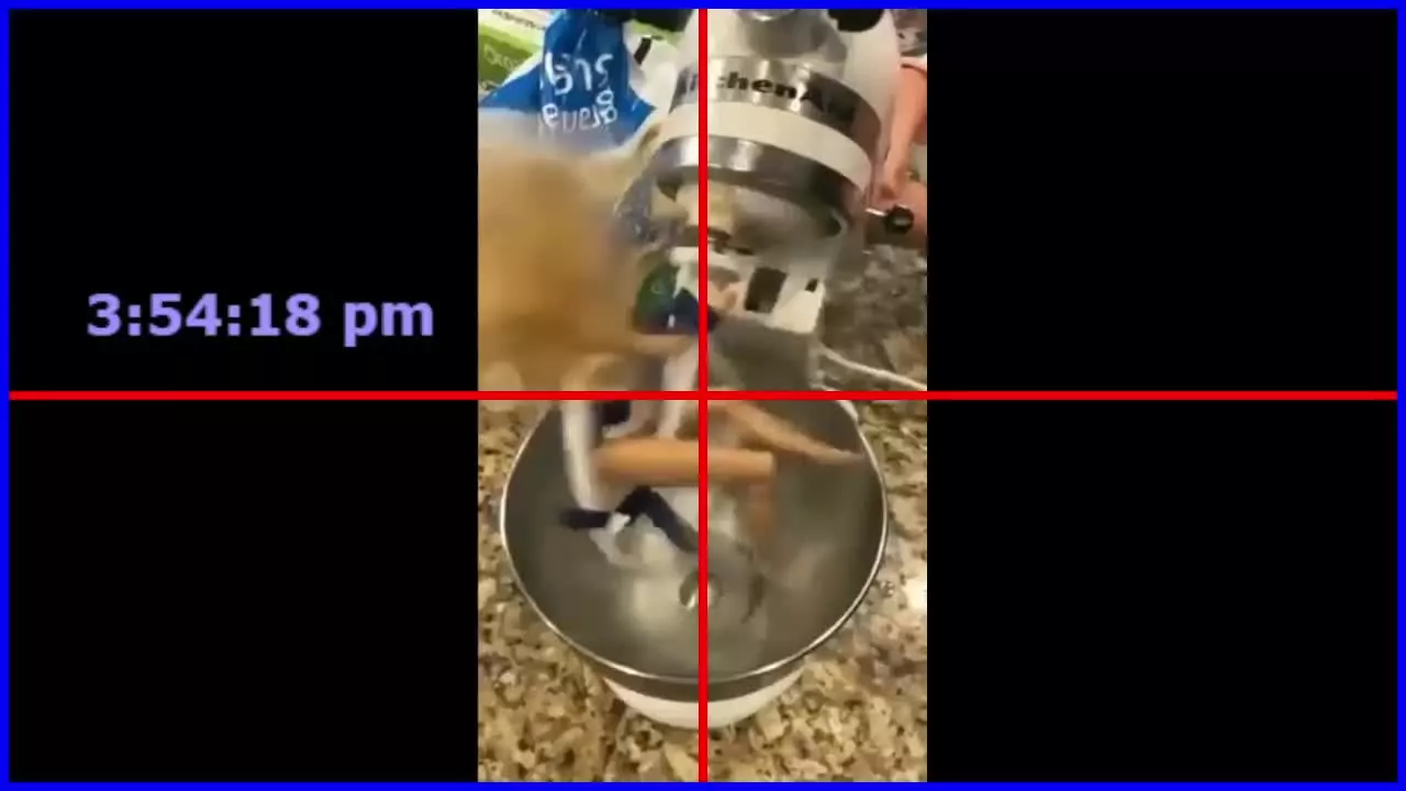 Offline sepffish on Streamray