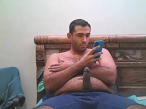 AlphaLatinoBear from StripChat is Freechat
