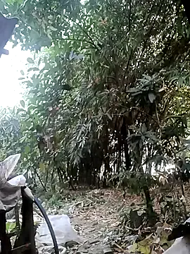 Hotty-rosni's avatar