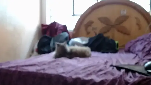 Freechat nakedlima on StripChat