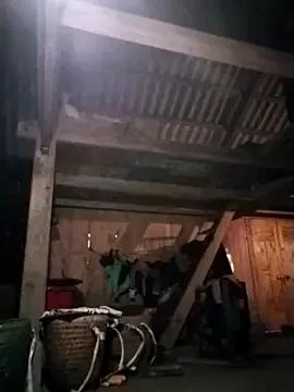 pochgt on StripChat