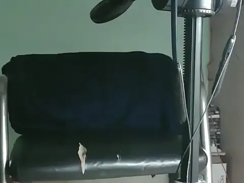 Freechat PreetyKitten on StripChat