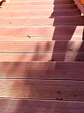 shaoshao-7758's avatar