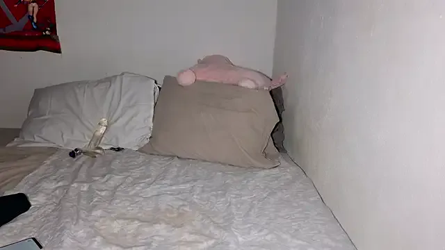 Freechat Valentina_Bailecito on StripChat