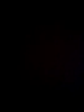 Freechat Zoedaniels on StripChat