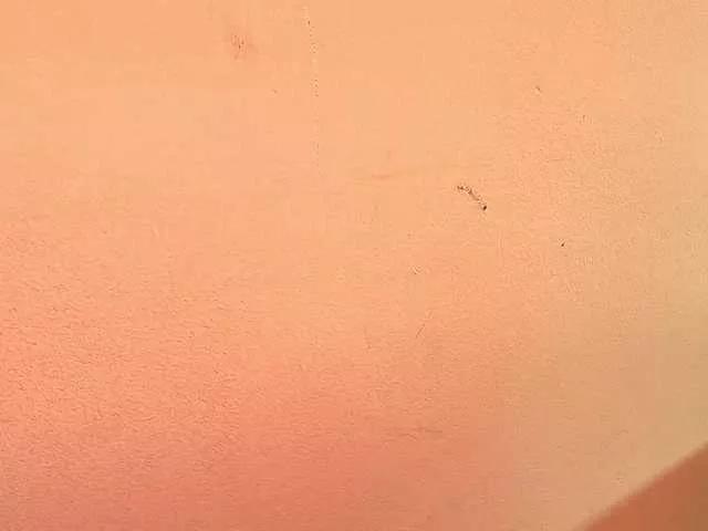 Offline arletpink on BongaCams