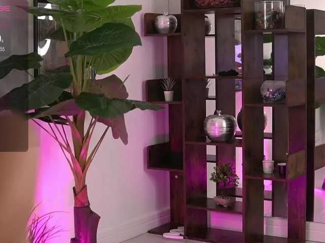 Offline AvaReed on BongaCams