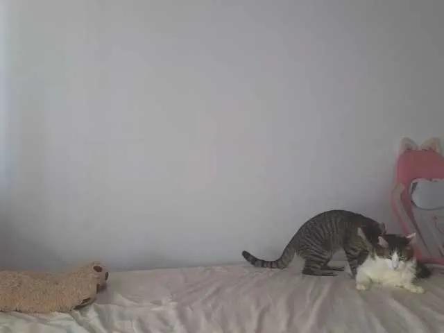 Offline CrystalStarX on BongaCams