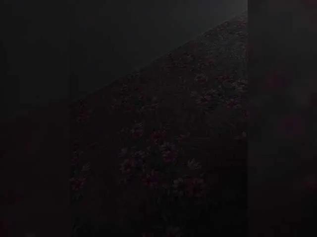 Offline Fira455 on BongaCams