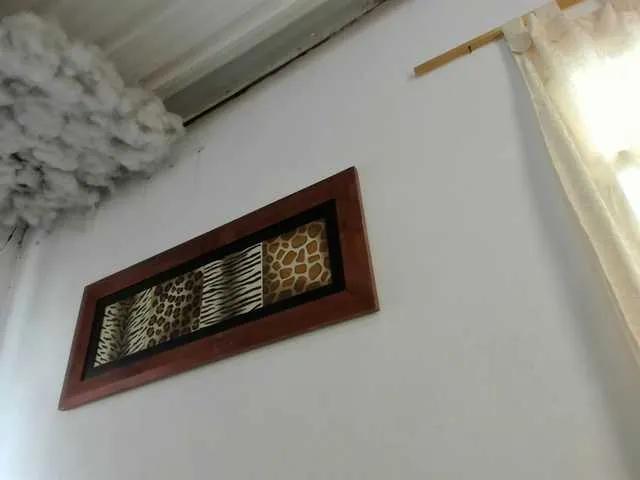 Offline LauuuG on BongaCams