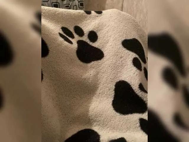 Offline neari on BongaCams