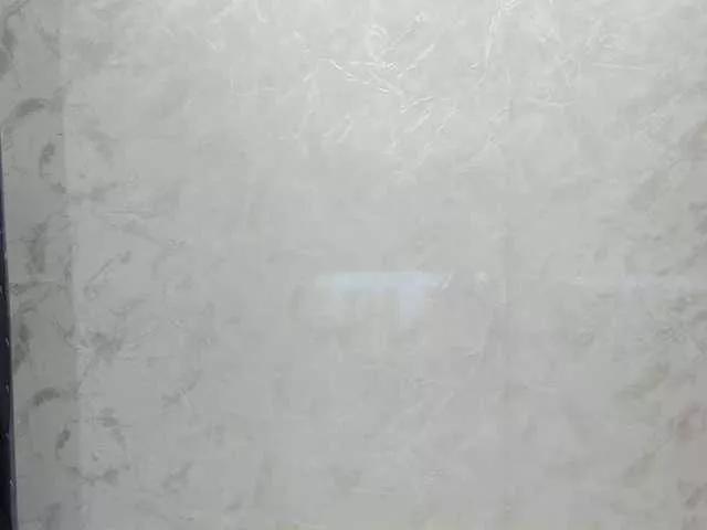 Offline Swinger-Party on BongaCams