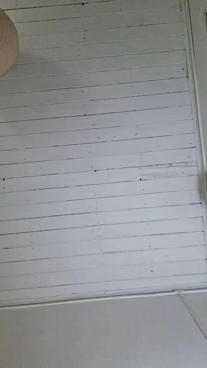 Freechat Caritovivi on Cam4