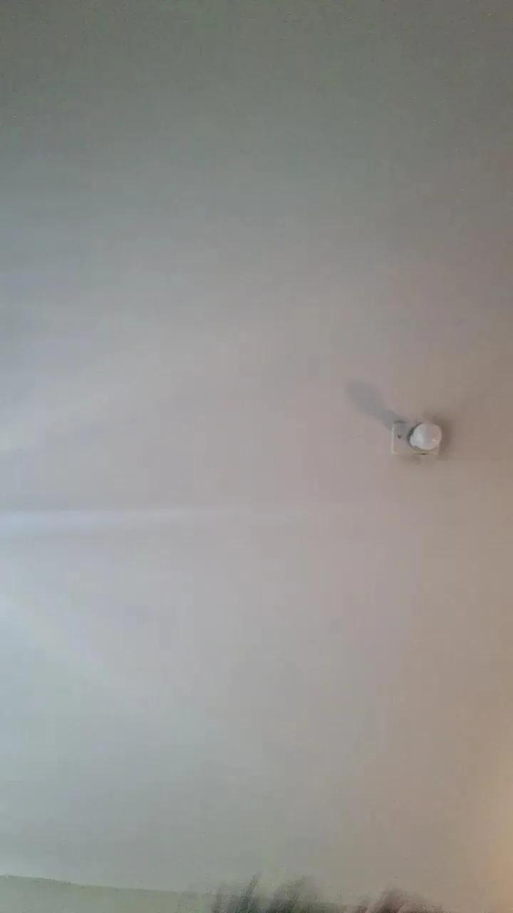 Freechat Caritovivi on Cam4