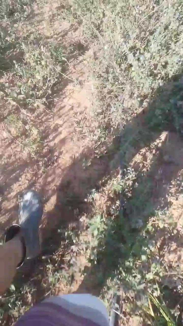 Daddy_capixaba on Cam4 