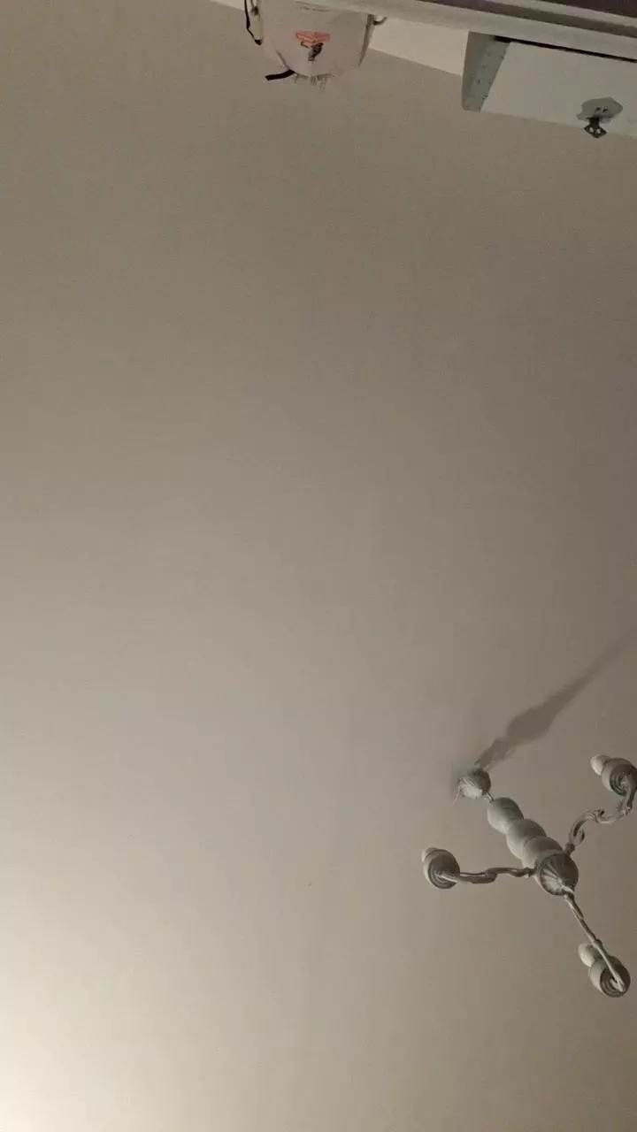 Offline Dayana2022 on Cam4