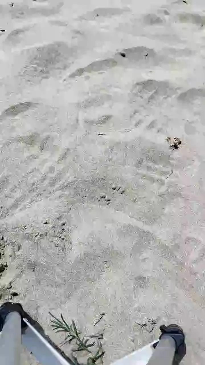 Offline delfin1111 on Cam4