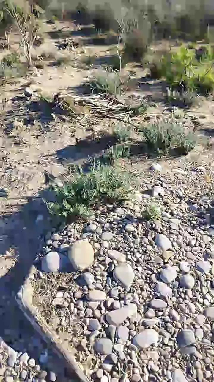 Cam4 delfin1111 is Freechat delfin1111 — Freechat on Cam4