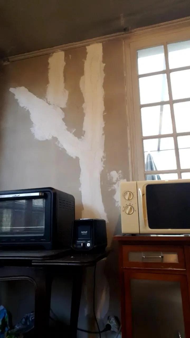 Offline Dickwolf91 on Cam4