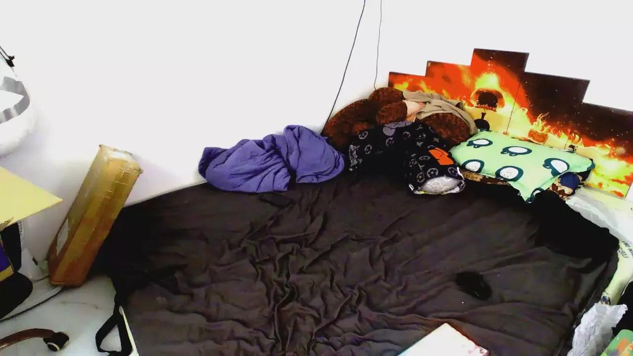 Offline Hwanghonghae on Cam4