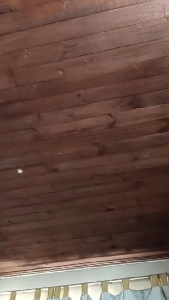 Offline rodovlaz on Cam4