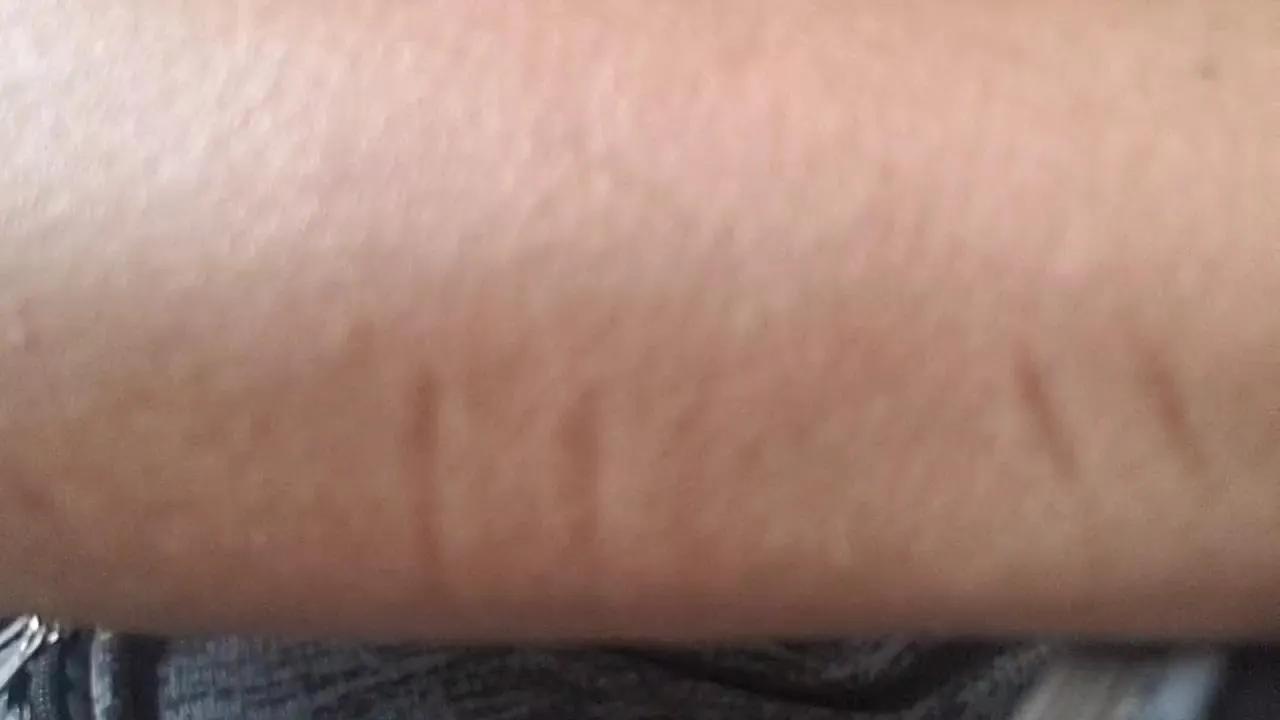 Offline shadowdilf on Cam4