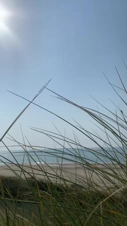 Offline Zeigegeiler69 on Cam4