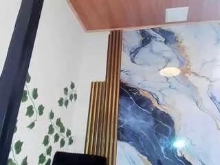 Offline brittanyy20 on CamSoda