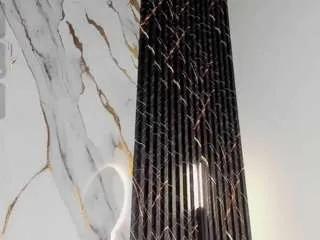 Offline ebonyyhot on CamSoda