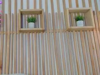 Offline emma-cleir on CamSoda