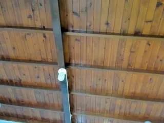 Freechat megan-charles on CamSoda