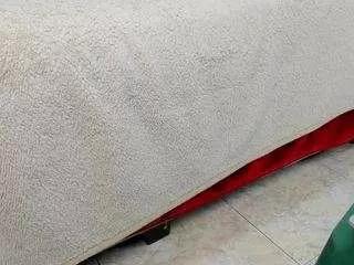 Offline queen-antonella-oficial on CamSoda