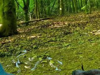 Freechat sansastaark on CamSoda