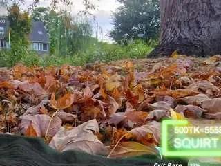 Freechat sansastaark on CamSoda