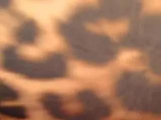 Offline sweetlexyy on CamSoda