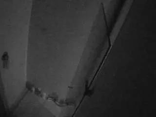 voyeurcam-casa-salsa-bathroom-7 — voyeurcam-casa-salsa-bathroom-7 Public Chat Channel