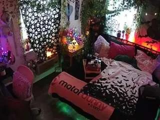 voyeurcam-veccasalt-01 — VECCASALT-Welcome! -NEW FANCLUB OPTION AVAILABLE!-LIVE Performance room/no tips needed! MODEL PAGE@VECCASALT Ft. @NelParker -Please respect room rules. [8985 tokens remaining]