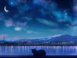 Offline wilonegrooms on CamSoda