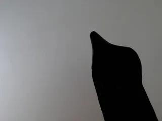 Offline hades on Flirt4Free