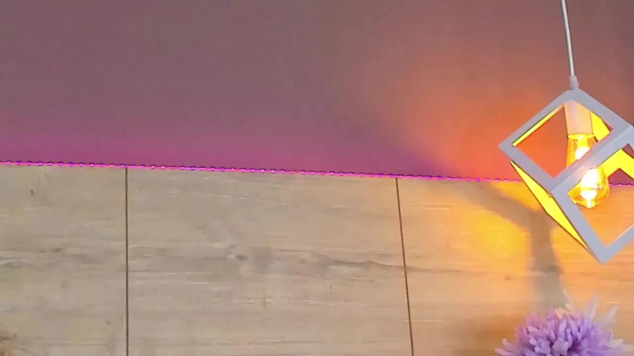 Offline ValeriaGuzman on Streamray