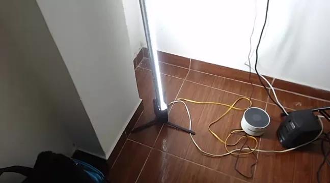 Avatar of sophia_frank